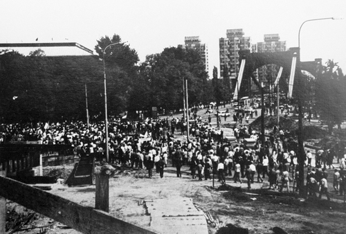 wiszniew_8981.jpg
